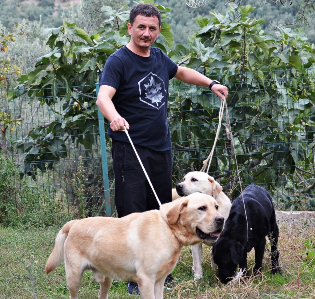 Turgay Çalışkan Labrador